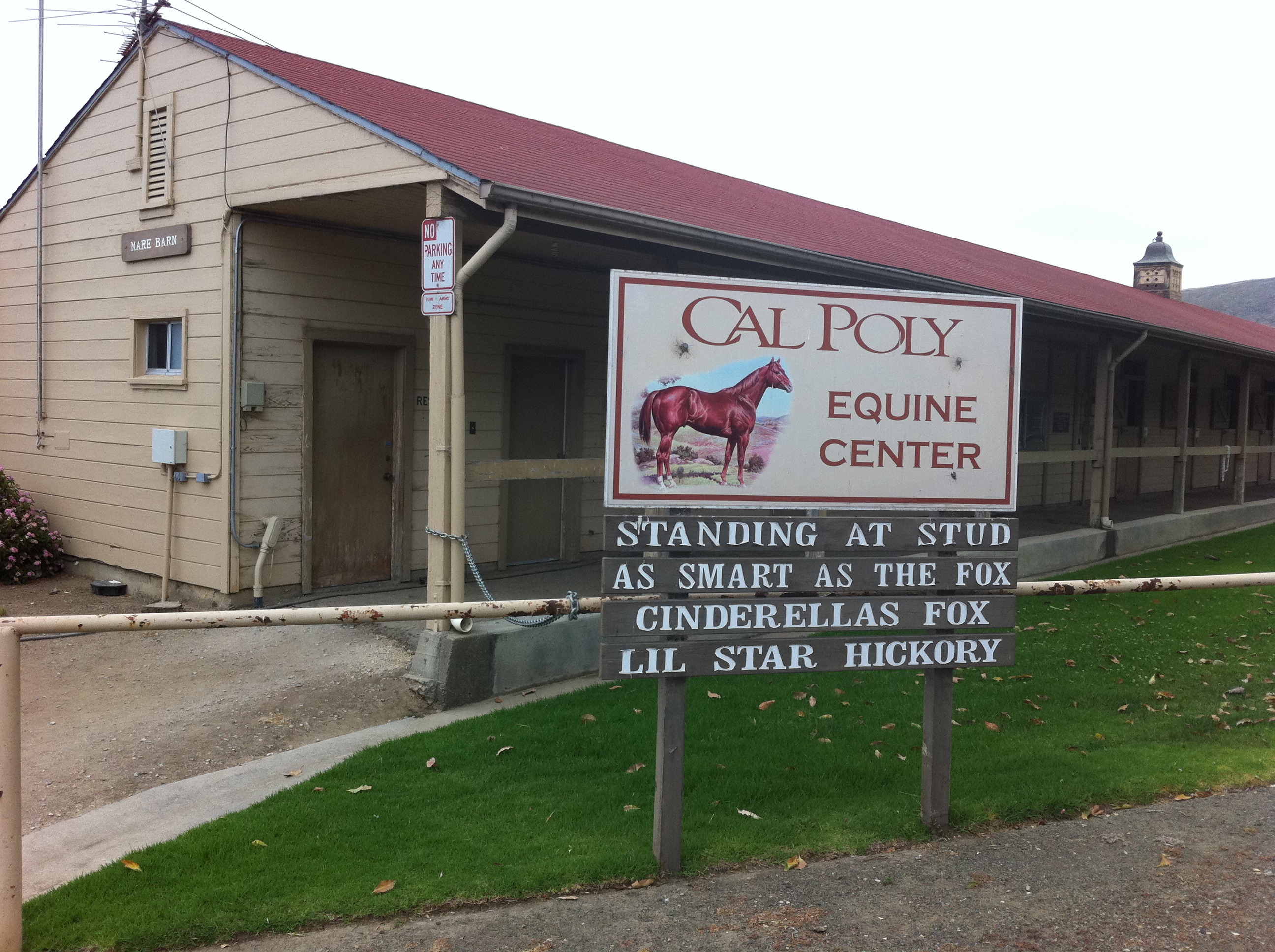 My recent visit to Cal Poly's Equine Center